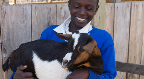 Kid with goat